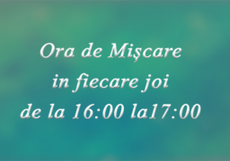 Ora de miscare