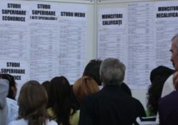 AJOFM: Numărul locurilor de muncă libere în judeţ a ajuns la 667