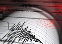 Cutremur cu magnitudinea 4 în zona Vrancea