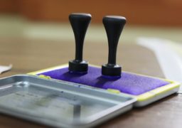 Operatorii de calculator ai birourilor electorale ale secţiilor de votare din ţară – traşi la sorţi