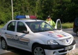 Iaşul va avea în câteva luni o Poliţie a Animalelor