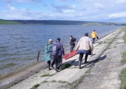 800 kilograme de pești morți în mai multe lacuri din județul Iași