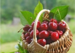 Producţia de fructe, mai mică şi cu 90 la sută faţă de anul trecut!