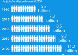 Ziua mondială a populaţiei (ONU)