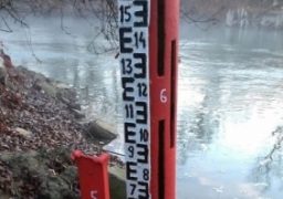 „Mai toate speciile de peşti răpitori din Prut sunt infestate cu anisakis şi aşa ajung în comerţ”