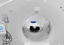 Ziua mondială a accidentului vascular cerebral