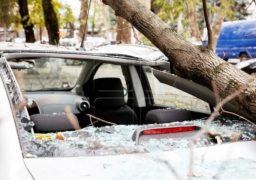 Bani pentru ieșenii a căror maşină este avariată de copacii neîngrijiţi din oraş. Proces la Judecătorie