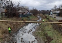 Angajaţii Salubris au curăţat malurile râului Nicolina