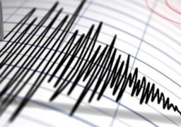 Două cutremure, la interval de trei minute, în zona seismică Vrancea