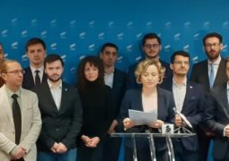 USR se dezgheaţă în plină iarnă. Cosette Chichirău țintește fotoliul de primar