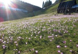 Vreme frumoasă și caldă în următoarele trei zile