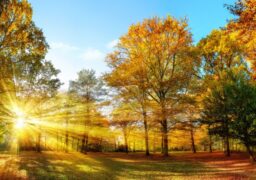 Vreme foarte rece, cu minime apropiate de zero grade în următoarea perioadă. Prognoza meteo pentru două săptămâni