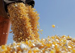 Deficitul României în comerţul cu produse agroalimentare se adânceşte: 1,27 miliarde de euro în primul semestru