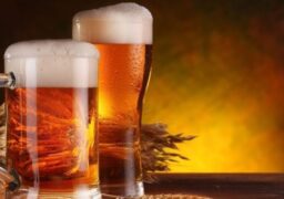 Studenţii de la Agronomie au creat un sortiment de bere cu aromă de ciocolată şi cafea