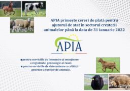 APIA primește cereri de plată pentru ajutorul de stat în sectorul creşterii animalelor