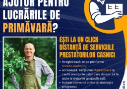 Platforma electronică de evidență a activităților casnice