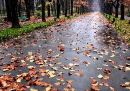 Temperaturile scad și reapar ploile în perioada 21 octombrie – 3 noiembrie