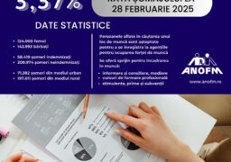 3,37%  rata şomajului înregistrat în evidenţele ANOFM în luna februarie 2025